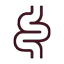 03.icon troubles digestifs
